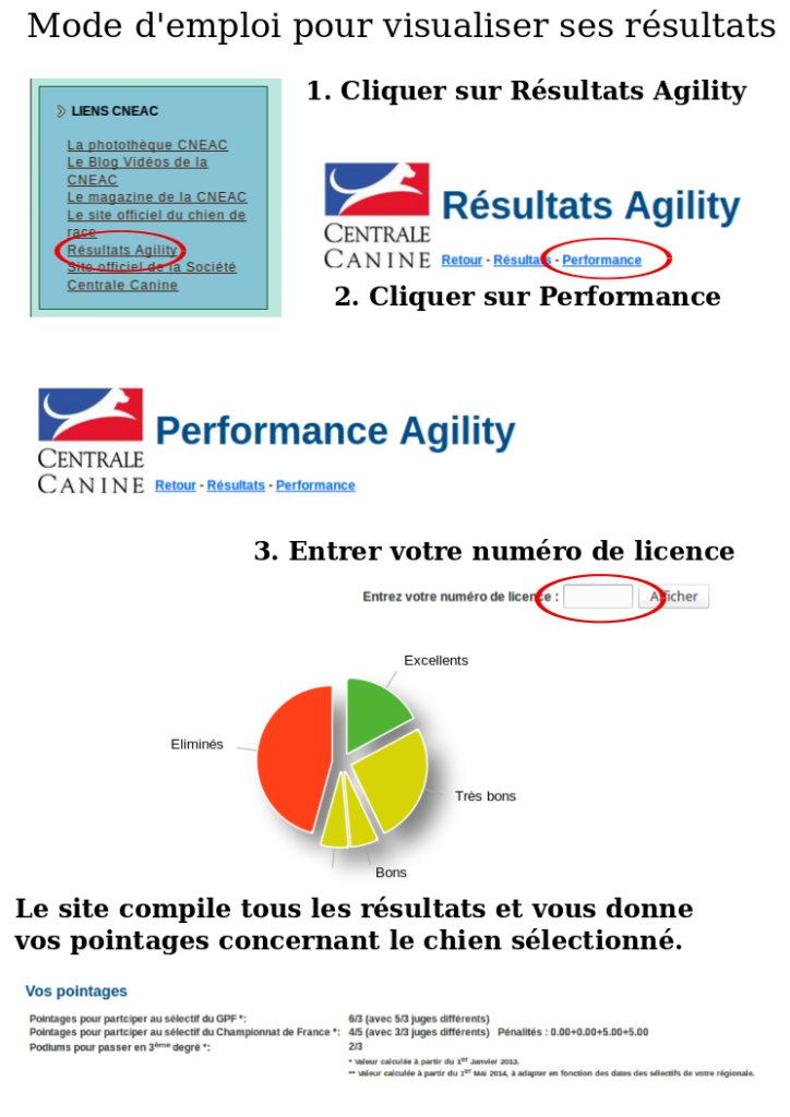 performance agility